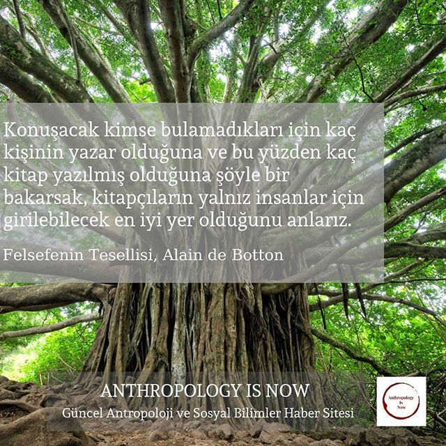 #anthropology #history #socialsciences #culture #evolution #statue #community #languages #tribe #world #archeology #excavation #geography #sociology #phsycology #biology #physicsfun #nation