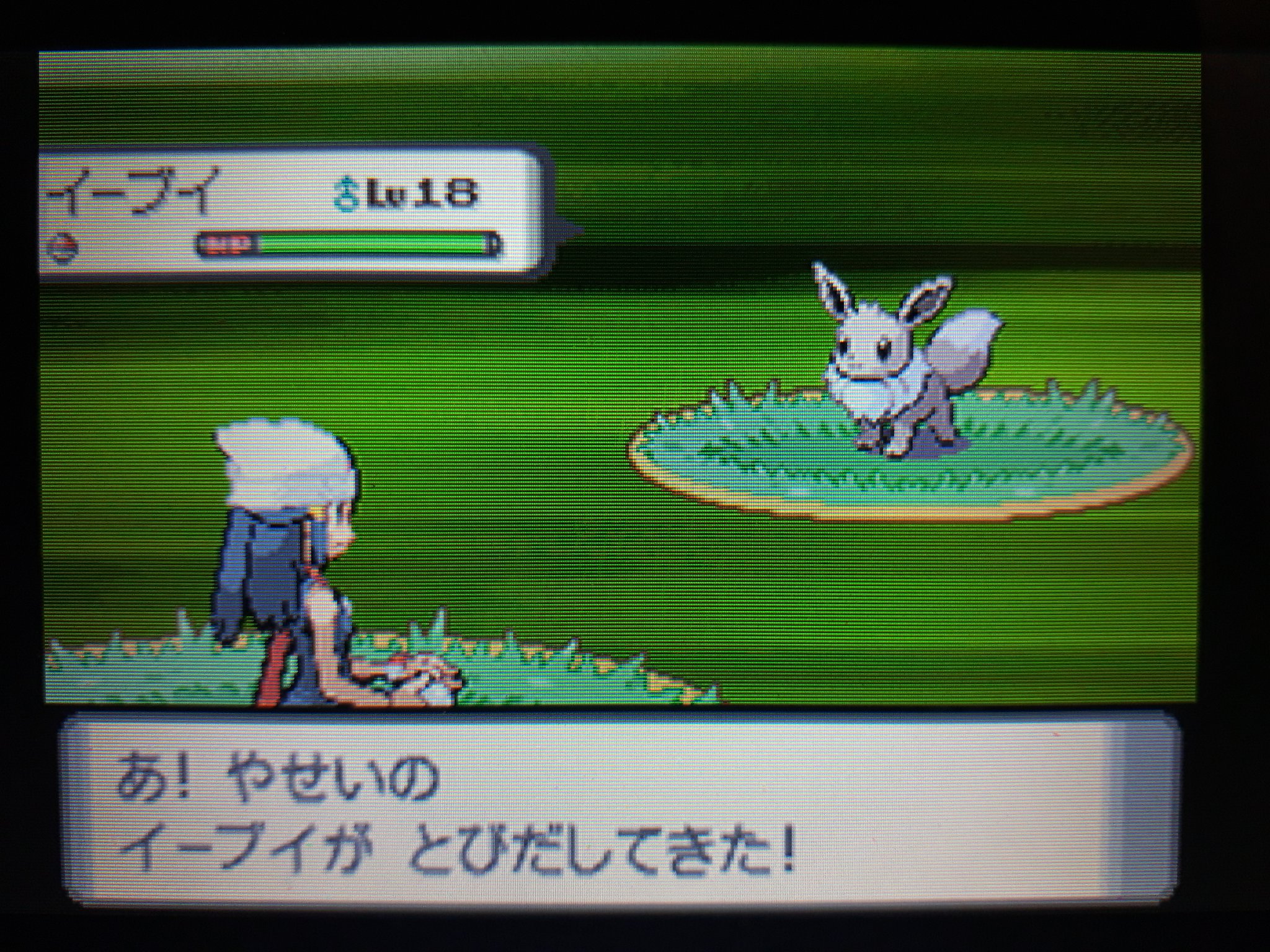 塩 わいポケ管理人 寝る前になんとか40連鎖成功 Amp 色イーブイゲットしましたん いつもプラチナでやってたからダイパ色イーブイは初かも 銀イーブイはいつみてもいいですなぁ ポケトレ ポケモン 色違い 色違いポケモン T Co