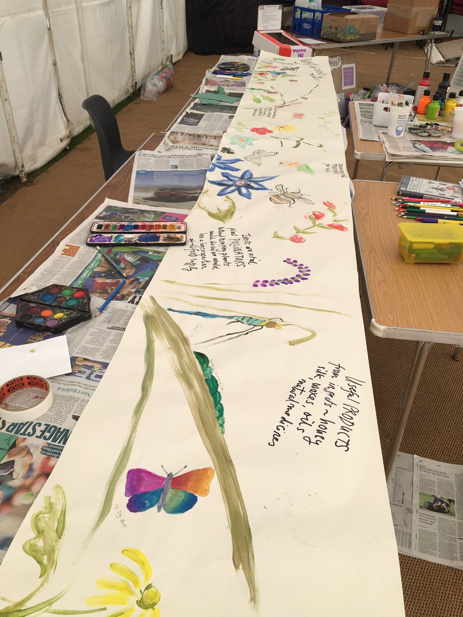 Learning about why #insects matter in our #bigbugdraw #seag @speenfestival #loveyourwildlife #speenfestival @SpeenEnvAction