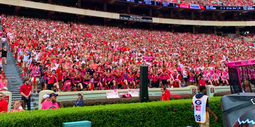 kdamp's tweet image. Well done, @georgiafootball student section. Well done. #WearPinkForWendy #NotFightingAlone