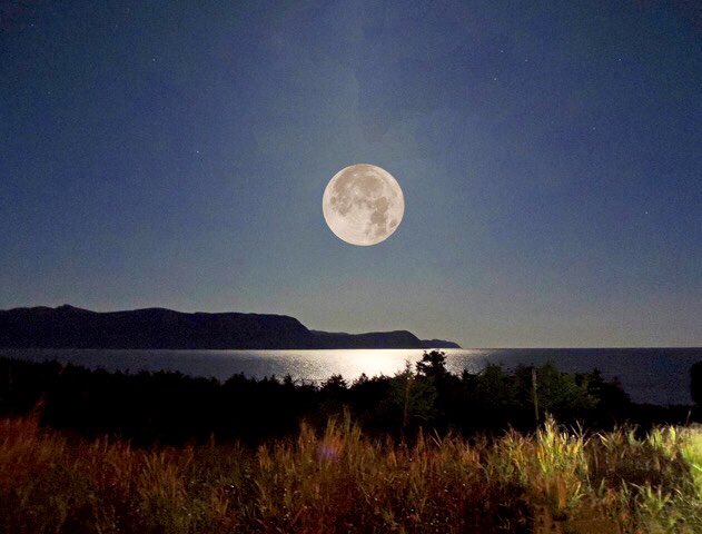 stan_sdcollins's tweet photo. I don’t imagine you were out taking pictures of the full moon in the middle of the night so here is one I took at 3AM of the entrance to our harbour. https://t.co/NZR1SfNqMp