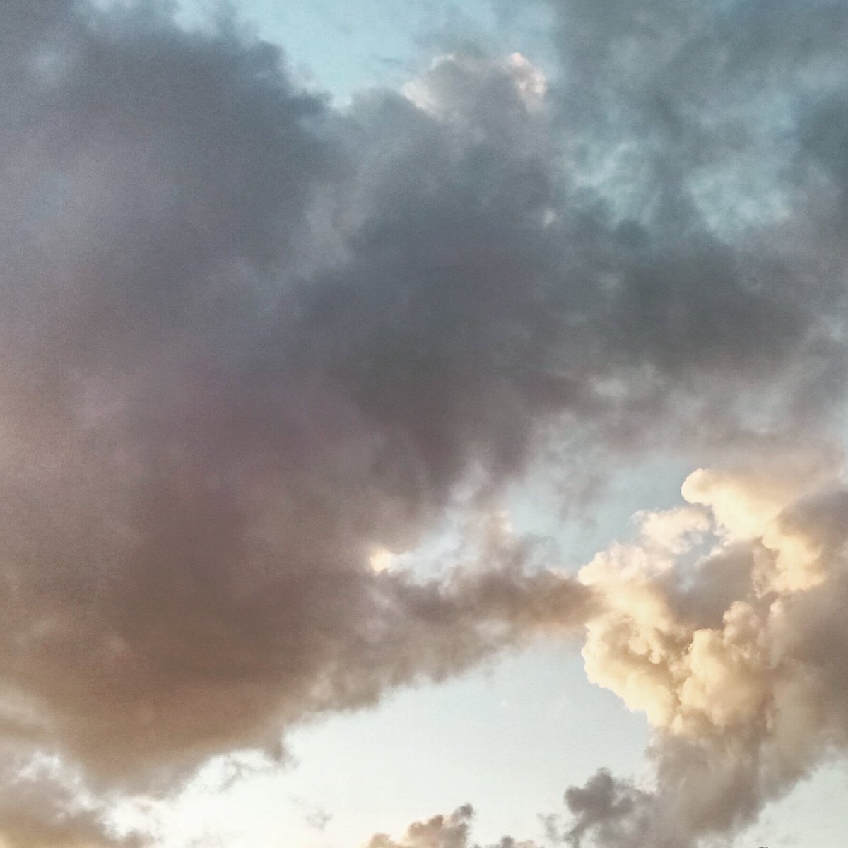 jswindowbox's tweet photo. #clouds #fluffyclouds #sky #blue #cloudlovers #crazyclouds #creativesky #creativeclouds #clouddaily #skylog #sun #sunset #inspiringclouds #beautyinthesky #greyclouds https://t.co/ew1cuVyjj0