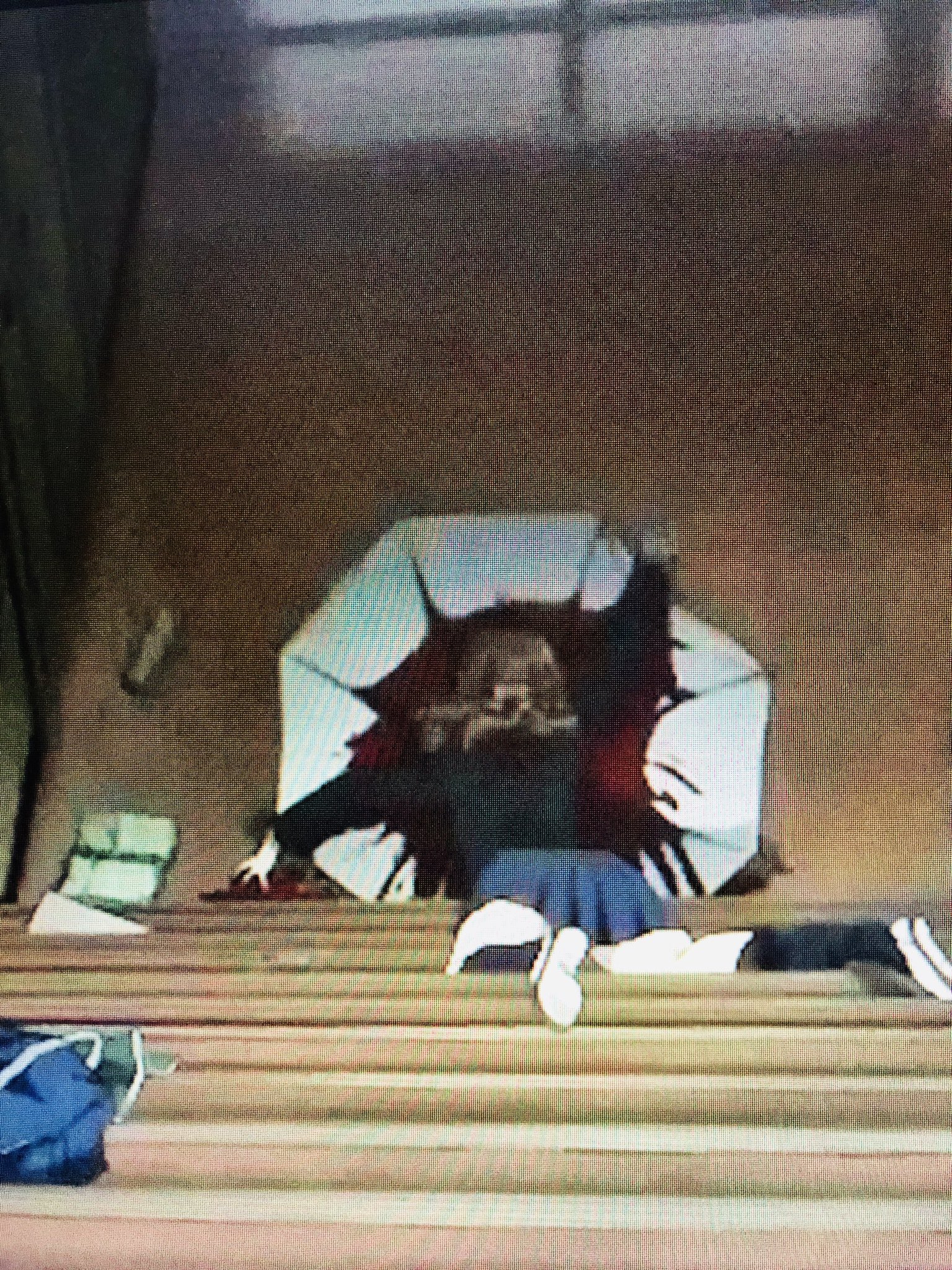 くま べあ Kuma Bear アニメ Another 見返した やっぱりミステリーホラーとしてよく出来てるなぁ 似たような設定のアニメがあったけど 後半の緊張感とか比べものにならなかったし 見崎鳴という物語のアイコンの存在も重要だったと思う コンプラ的