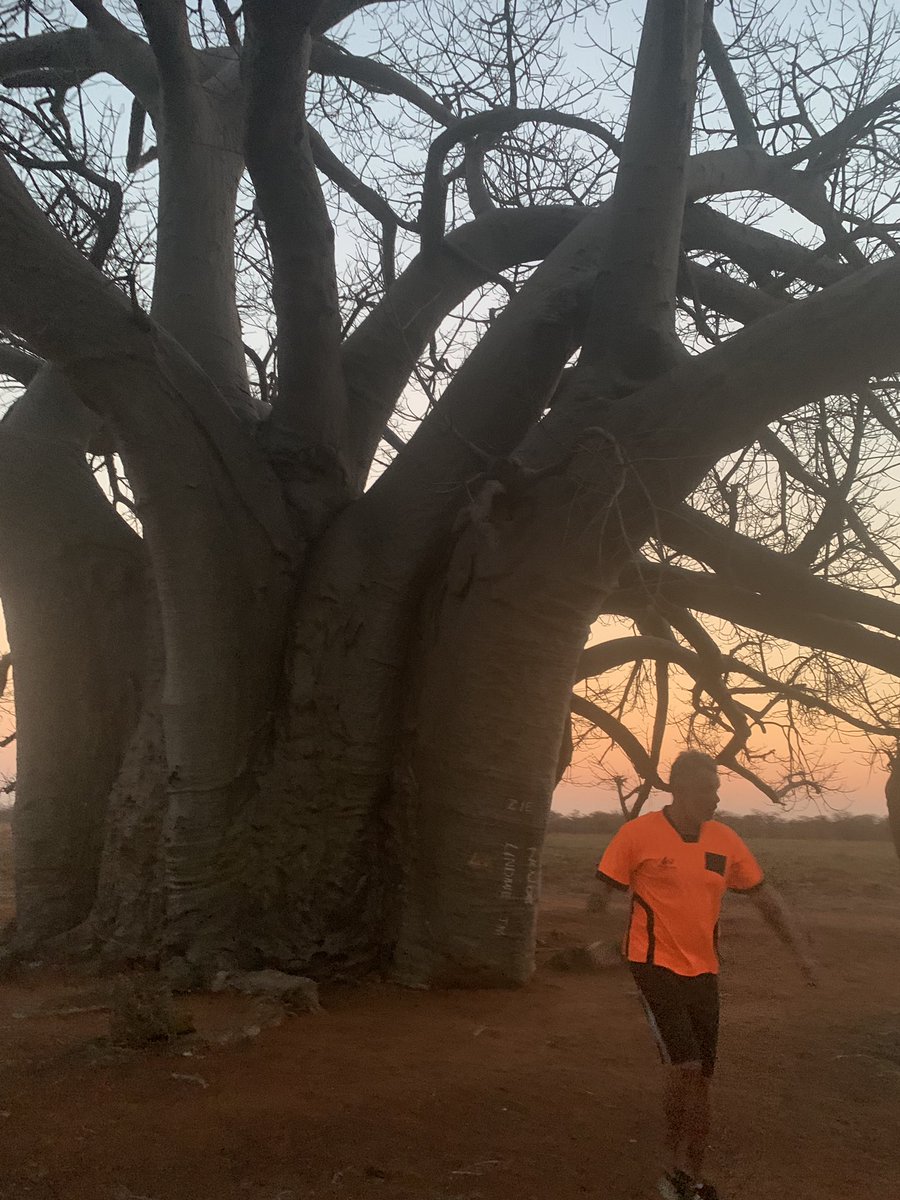 MFFoundationNPC's tweet photo. #GameofStars ... beautiful ending to a great day! Tomorrow will determine the top 2 Vhembe teams that will go through to the finals .... #LetsPlay #RuralFootball #PoweroftheBall @markfish74 @agri_limpopo @Saai_org https://t.co/xgcXi7mjAp