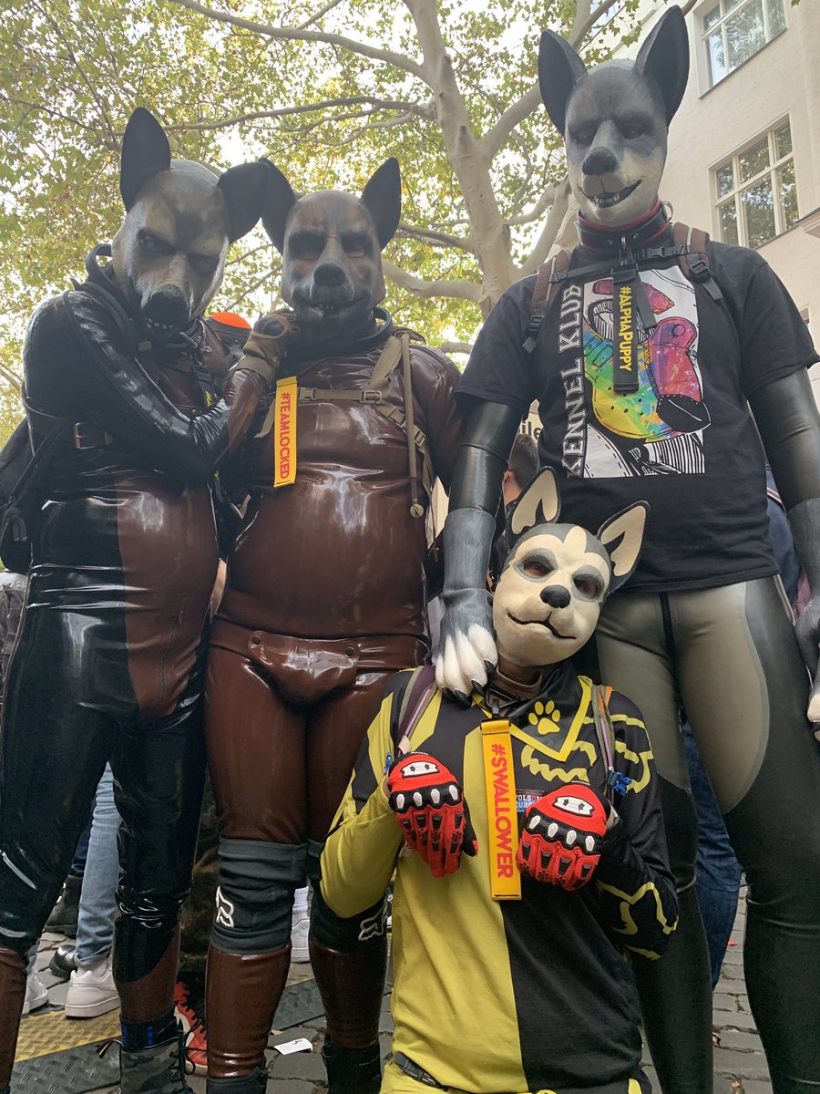 attack_men's tweet photo. @ruttpup happy puppies!#folsomberlin https://t.co/SgdUytFAoQ