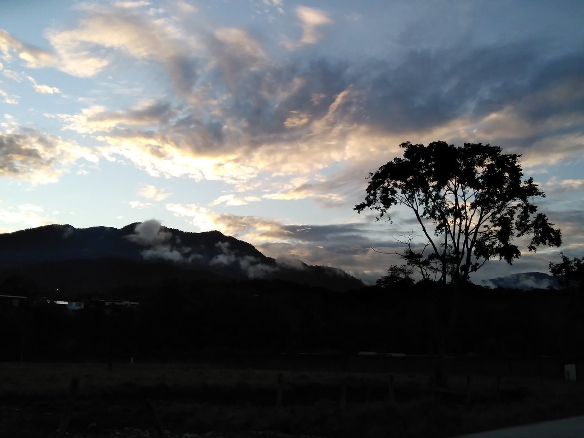 ☀️💜LIS🇨🇴💜☀️ tweet media