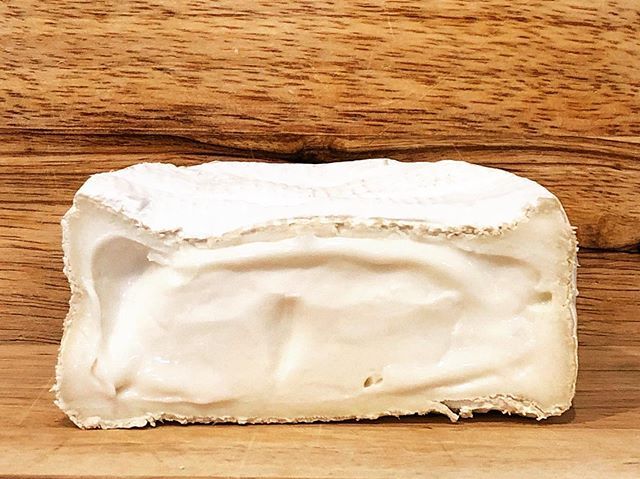 ChantalsCheese's tweet photo. This is Nocetto di Capra from Lombardia, Italy it is a goat brie and we don’t have much left.. so hurry to get the last 2 wheels! #importedcheese https://t.co/ddid3gr9rz https://t.co/BO4LZmTkyR