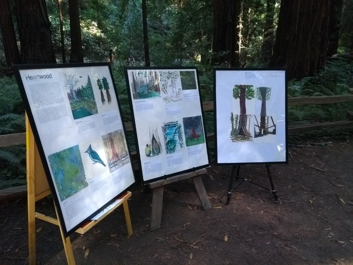 Muir Woods Nps On Twitter Join Us This Sunday For Art In The
