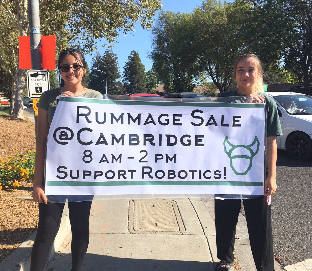 RoboVikes tweet media