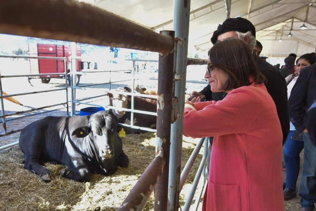 LuciaCorpacci's tweet photo. ¡VAMOS A LA Expo Productiva!
Quiero a invitarlos a recorrer la Expo Productiva 2019. Un espacio en donde vamos a encontrar todo lo que nuestra Provincia produce y descubrir el potencial que tenemos. https://t.co/i6NFcepWaj
