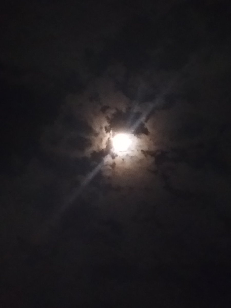 DanishaliJMI's tweet photo. हर एक रात को महताब देखने के लिए 

मैं जागता हूँ तिरा ख़्वाब देखने के लिए 

~अज़हर इनायती
@Rekhta @rahatindori  @DrKumarVishwas #azharinayti #chandniraat
#shayri #night https://t.co/CkOp1pgkSx