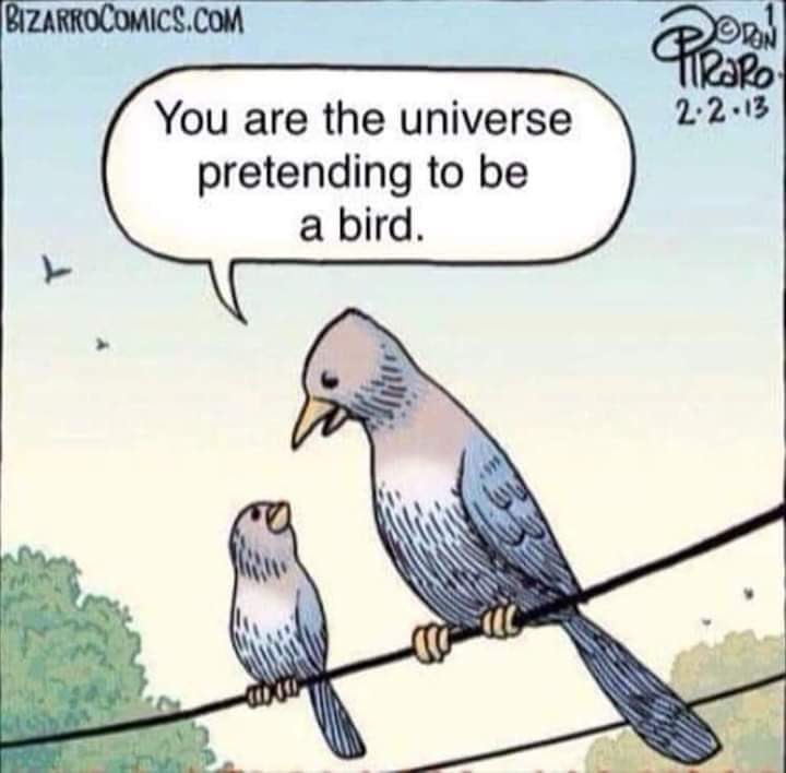 felix0011 (@10110010f) on Twitter photo 