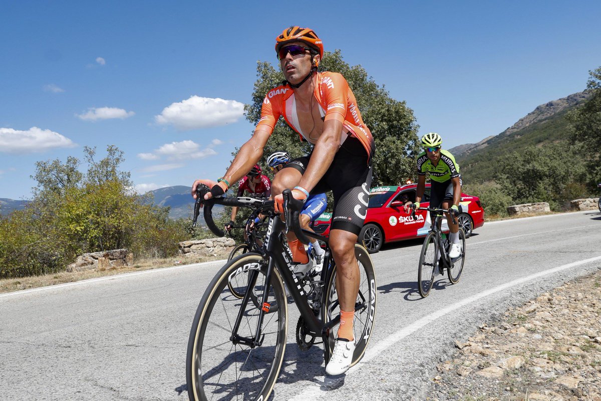 Lotto-Intermarché tweet media