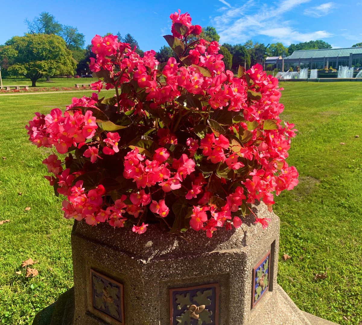 Took the <a href="/IndyGoBus/">IndyGo</a> #RedLine to the <a href="/GarfieldParkMkt/">GPFM</a> this morning &amp; now I’m all blissed out 🌺 😍 🚎 #DiscoveryIndyParks