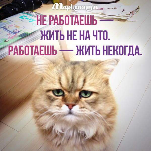 Картинки работаешь жить некогда не, доброе