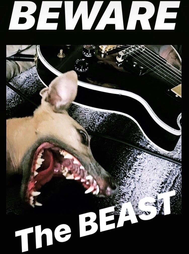 The beast is our furry little Sulpher mascot 🐾🤘🏻Sulpher will be touring in Vienna, 28th September 🔥