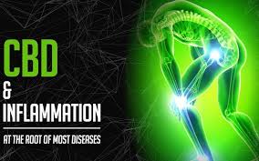 CbdMoa's tweet photo. Time and again, CBD has been found to have numerous health benefits. One of the primary uses is combating #inflammation. Many use it in the form of #hemp oil for inflammation. Multiple studies have been conducted on #CBD as an anti-inflammatory, and several athletes swear by it. https://t.co/SkcYGFKeJe