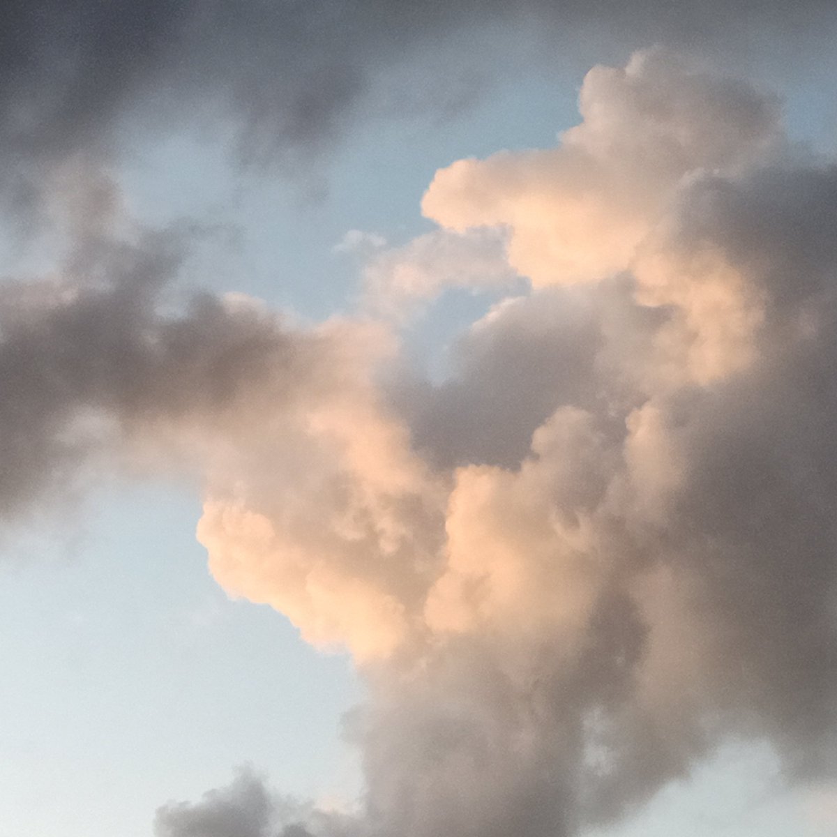 jswindowbox's tweet photo. #clouds #fluffyclouds #sky #blue #cloudlovers #crazyclouds #creativesky #creativeclouds #clouddaily #skylog #sun #sunset #inspiringclouds #beautyinthesky https://t.co/3UGTwdmMb2