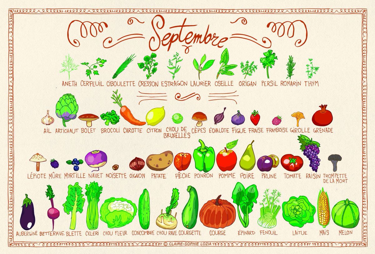 Brazeco's tweet photo. En cette nouvelle #rentrée il est bon de prendre les bonnes habitudes dès les premiers jours !

En hiver ou en été, essayez de choisir des fruits et légumes de saison : leur production nécessite beaucoup moins d'énergie

Apprenons tout simplement à ne pas bousculer les saisons 🤷‍♂️ https://t.co/gu4LPT0FjM