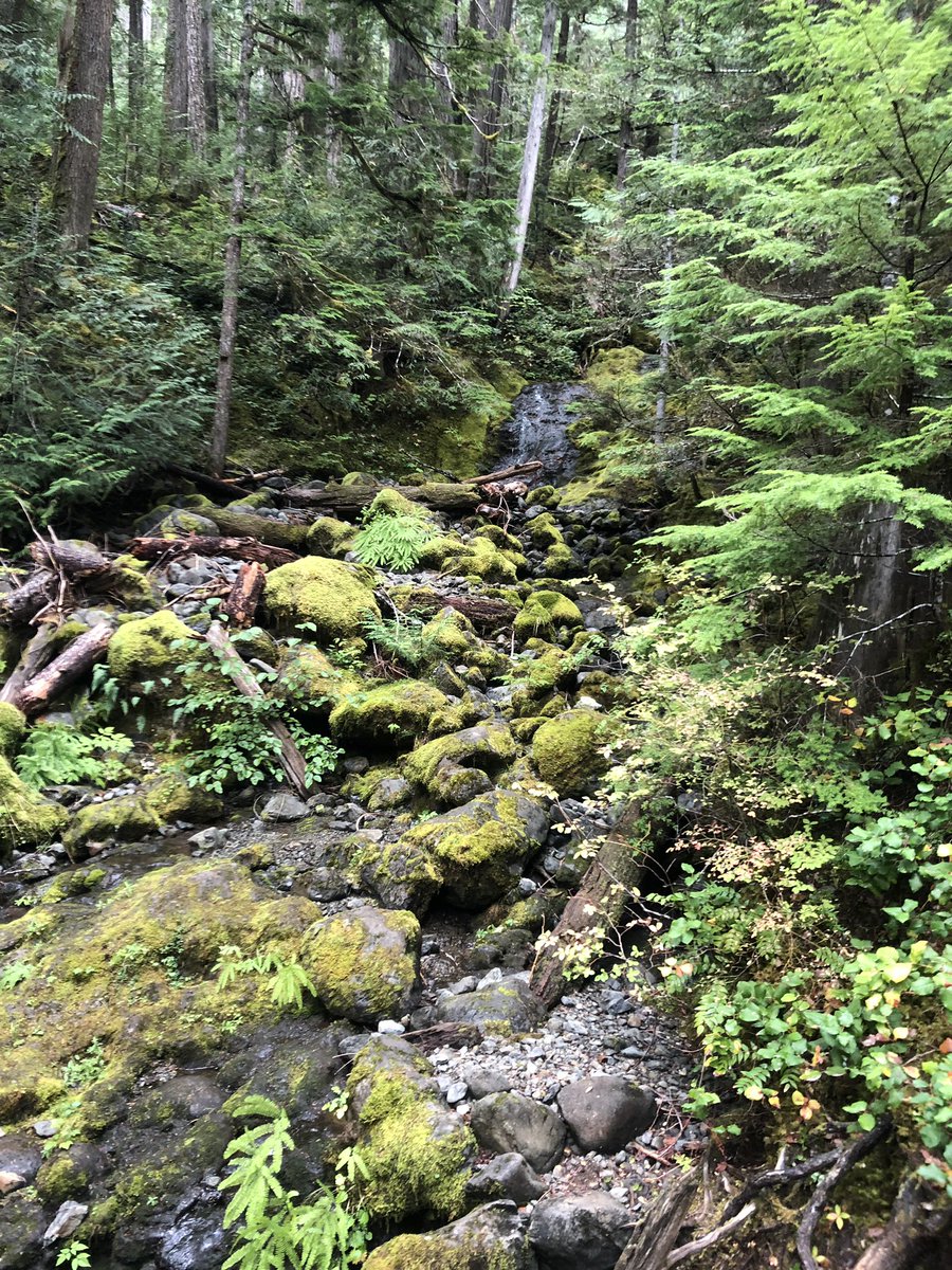 Chan Chandrapunth tweet media