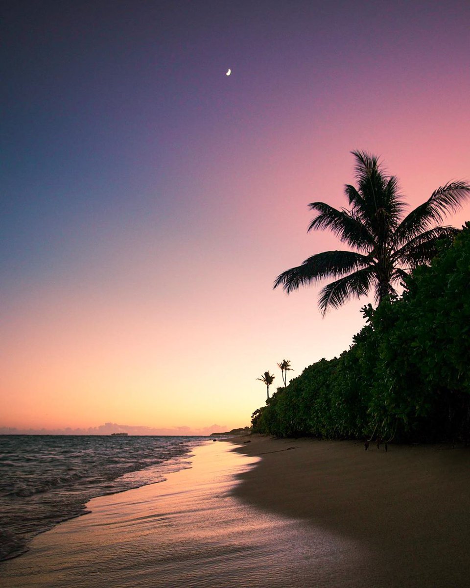 SpiaggeDaSogno's tweet photo. Honolulu, #Hawaii 🇺🇸 🌅

📸actionjockson https://t.co/MEpgdHiCHN