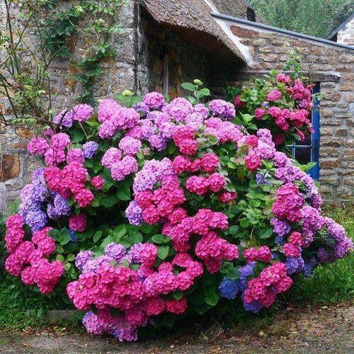 DixieBusiness4U's tweet photo. Follow Everyone Who Likes and Retweets This ๐บ๐ธ๐บ๐ธ๐บ๐ธ๐พ๐
#DixieBusiness4U #TeamFollowHelp #FollowTrick #GainWithTrevor #Khan #Decorartehogar #Empire1Drive #1DDrive #PitBullEmpire #TEAMSTALLION #WorldWideFollowHelp https://t.co/nevcZ13lz0