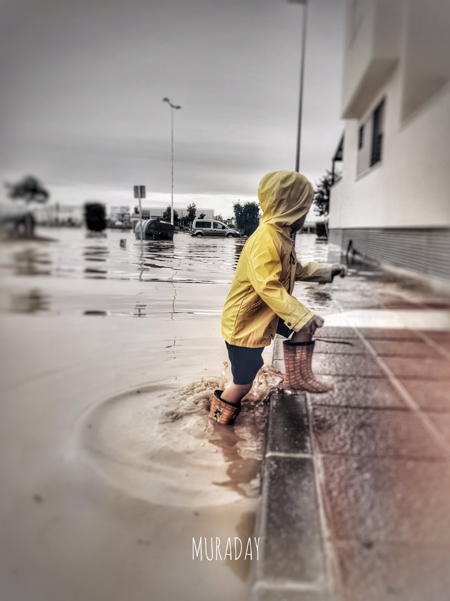 No es la lluvia, es la impotencia.
No es el temporal, es el dolor.
No es la tormenta, es el desconsuelo...
Ahora toca renacer, levantarse y apretar los dientes... <a href="/elmundoes/">EL MUNDO</a> <a href="/el_pais/">EL PAÍS</a> <a href="/atresmediacom/">Atresmedia Comunicación</a> <a href="/tiempobrasero/">Tutiempo</a> #dana #Murcia