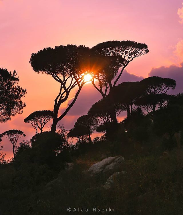 AHseiki's tweet photo. Together we stand, Divided we fall... ❤️
.
.
.
#Hseiki #Lebanon #beirut #nature #photography #sun #sunset #sunsets #sunset_vision #love #menwithexplore #discover #canon #amazing_shots #romantic #livelovebeirut #wearelebanon #insta_lebanon #beautifullebanon #picoftheday #phot… https://t.co/bQq0lmz8HN