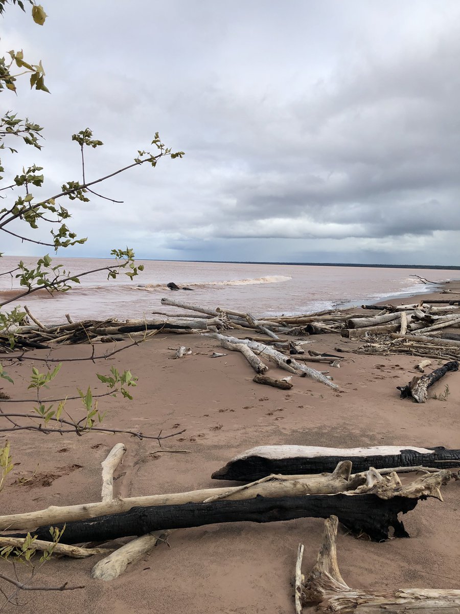 NicoledeB's tweet photo. The clay earth of northwestern Wisconsin drained into Lake Superior creating pink water - adventures w/#daisycam #wisconsinpoint https://t.co/gB0WjbITIV