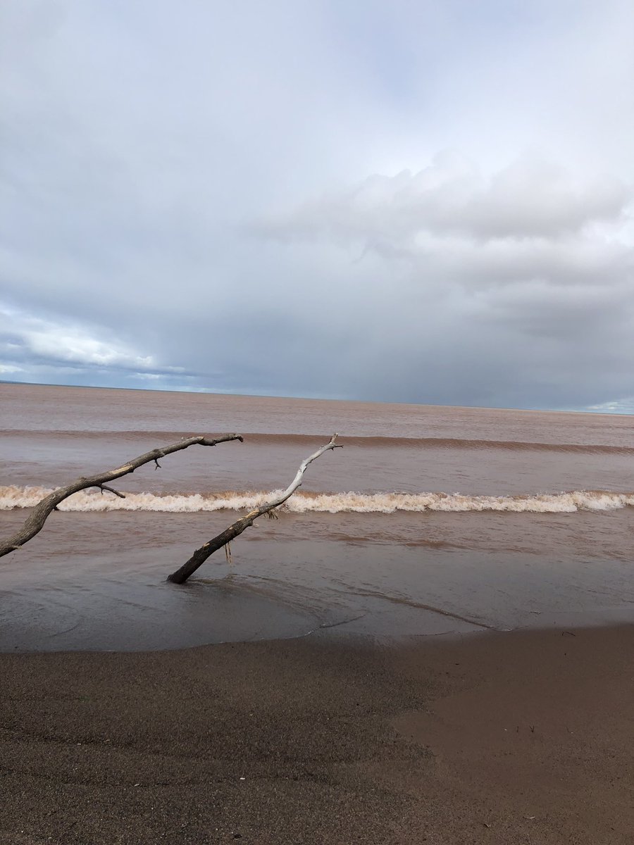 NicoledeB's tweet photo. The clay earth of northwestern Wisconsin drained into Lake Superior creating pink water - adventures w/#daisycam #wisconsinpoint https://t.co/gB0WjbITIV