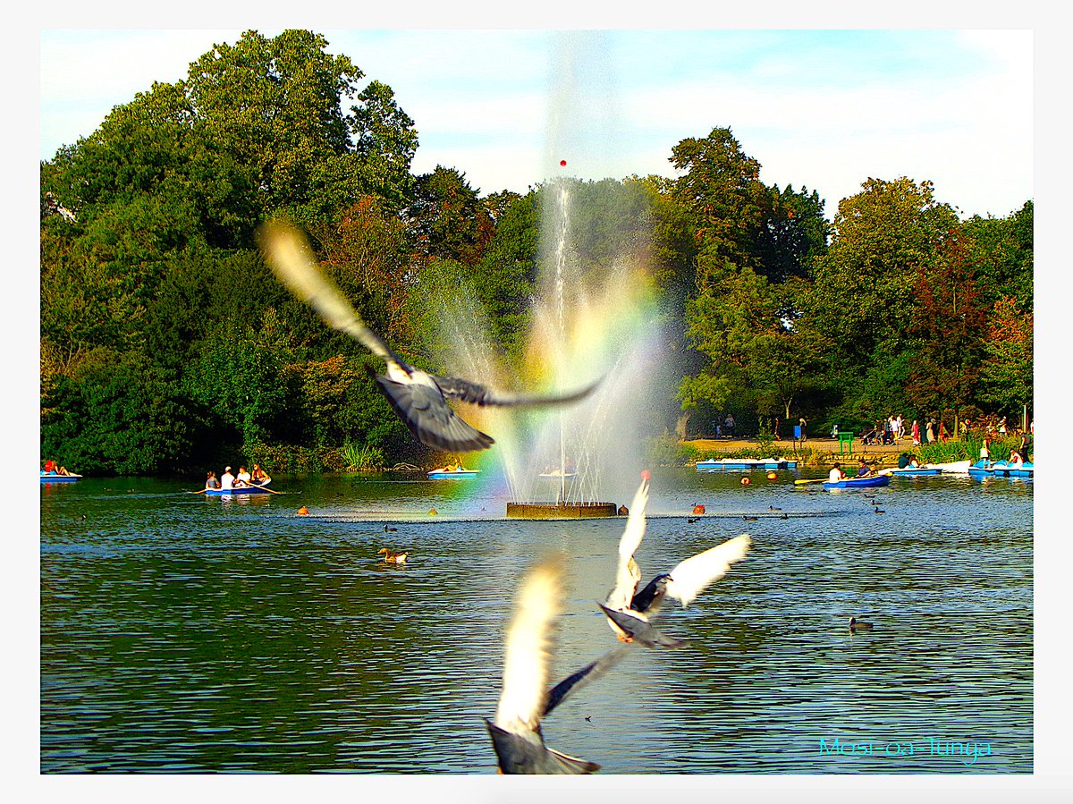 UnbesetztSynth's tweet photo. Simply a beautiful day {Mosi-oa-Tunya} #VictoriaPark #SāturniDiēs #Atemberaubend #Orchesterbearbeitung #Pipio @reedandcaroline @BecksNudds @drunkenpoet92 @TinSoldiere @VeryRecords ::🌓! https://t.co/2Rk4CHv8nc