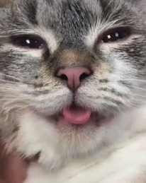 marillion13's tweet photo. #Bleps4ESA!!! https://t.co/Dzx8EqMjn0