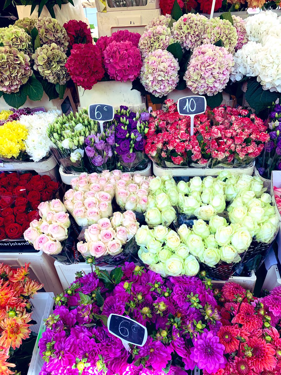 信介山 フランスの花束 は単種単色 いろんな種類や色を混ぜると移り気を表すのでプレゼントには禁物 と聞いてたけど最近は移り気の方も多いようで バラとカスミソウを一緒にした花束は見たことがない