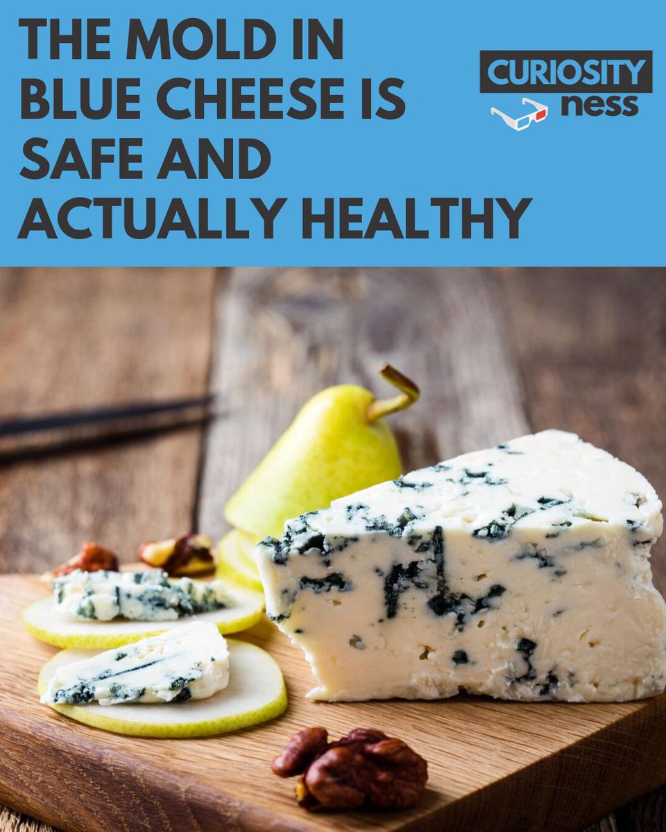 Curiosityness (@curiositynesstv) on Twitter photo The blue molds used for cheese can't produce toxins. The combination of acidity, salinity, moisture, density, temperature and oxygen flow creates an environment that is far outside the toxin production range.
Check out episode 018 with <a href="/MmeFromage/">Madame Fromage</a> for more cheese info! The blue molds used for cheese can't produce toxins. The combination of acidity, salinity, moisture, density, temperature and oxygen flow creates an environment that is far outside the toxin production range.
Check out episode 018 with <a href="/MmeFromage/">Madame Fromage</a> for more cheese info!