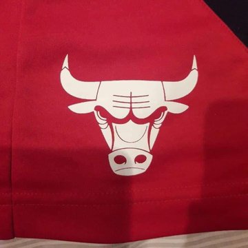 The Bulls' logo is NSFW if you flip it upside down | Mashable