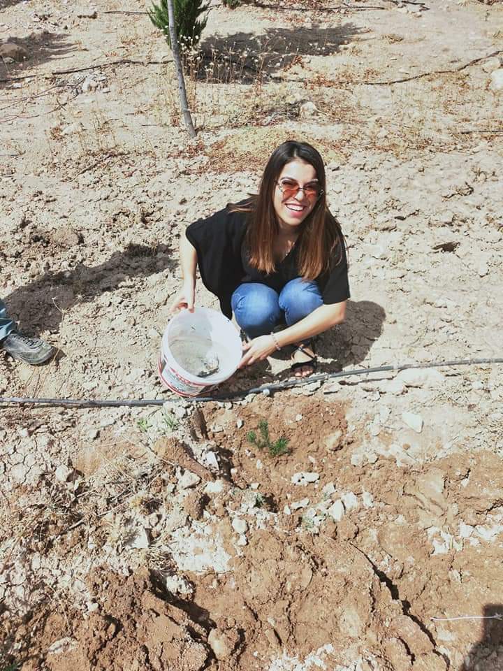 yemyesilurfa's tweet photo. Kıyamet kopmaya yakınken elinizde bir ağaç fidanı varsa ve onu dikmeye vakit bulabilirseniz onu dikin( HADİS-İ ŞERİF)🌲🌱 https://t.co/zyybNMuW4k