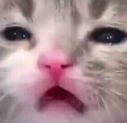“ya no mames deja de estornudar we”

yo:
