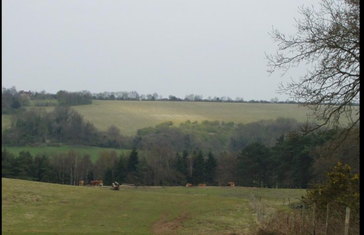 Latest update of Fr Simon's pilgrimage

Walked from Alton to Guildford 
Twenty miles 
Arrived tired but happy 
#pilgrimage 
#winchestertocanterbury 
#dioceseofchichester
#dioceseofguildford 
#churchofengland
#chichesterobserver