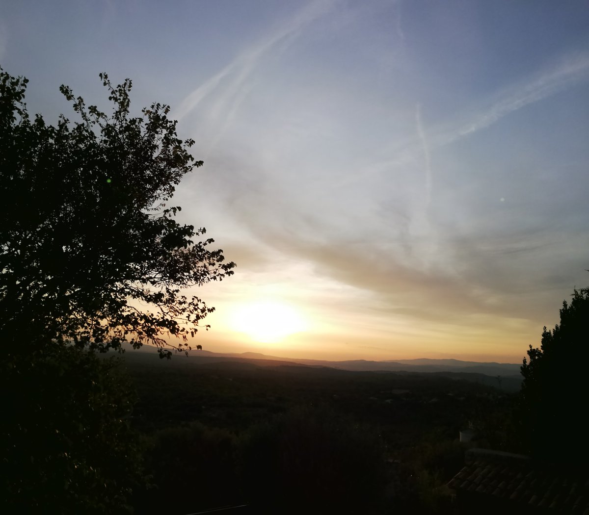 hmuellerschnegg tweet media