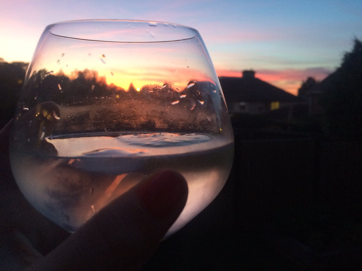 BradshawBecki's tweet image. A great day of sunshine, friends and fizz ends with a @NorwichCityFC victory and a sunset G&amp;amp;T in the garden.  #BloomGin