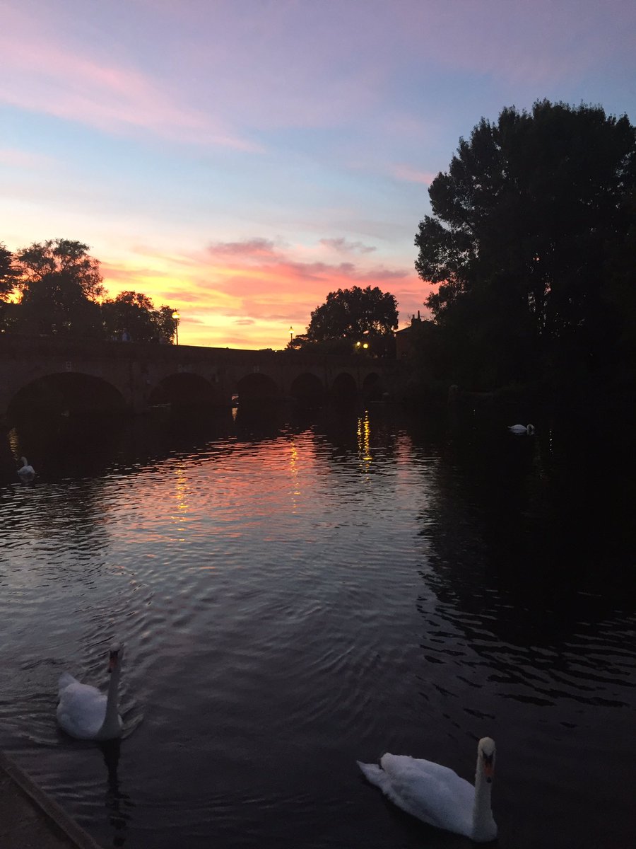 Riverside Tea Garden tweet media