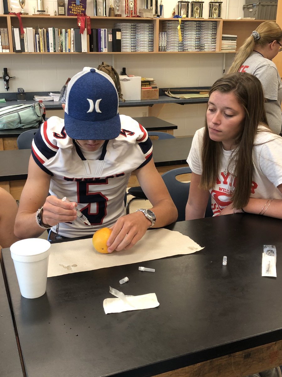 tayloraged's tweet photo. @tayloraged and @CityAggie #ansci students are #learning to give injections! Orange you glad it wasn’t you on the receiving end?! 🙃 @TMHSWildcats @VolusiaCTE @WildcatCTE @volusiaschools https://t.co/xFJIUl7hQU
