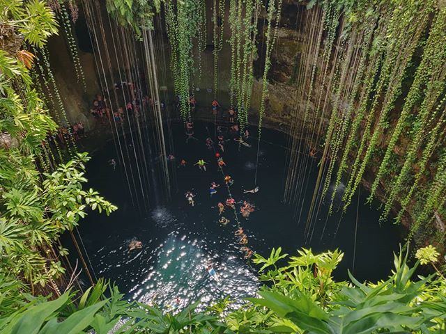 🌿🌿🏊‍♀️🔘🏊🏻‍♂️🌿🌿
___________________________________
#mexico #cancun #cenote #ikkil #oneplus6 #oneplusshot #onepluslife #oneplusfamily #green #nature #instanature #vsconature #vsco #vscocam #vscogood #vscogo #instagood #instago #atmosphere #instaatmosphere… ift.tt/2QaKEw2