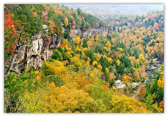 Fall's splendor in Tennessee dlvr.it/RD6D9V