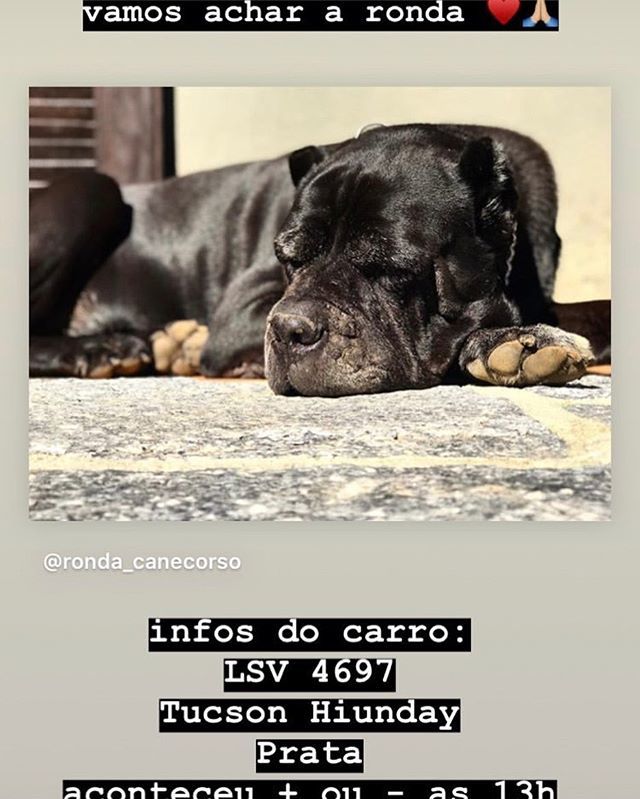 Adriana Westerberg (@dricaw) on Twitter photo 