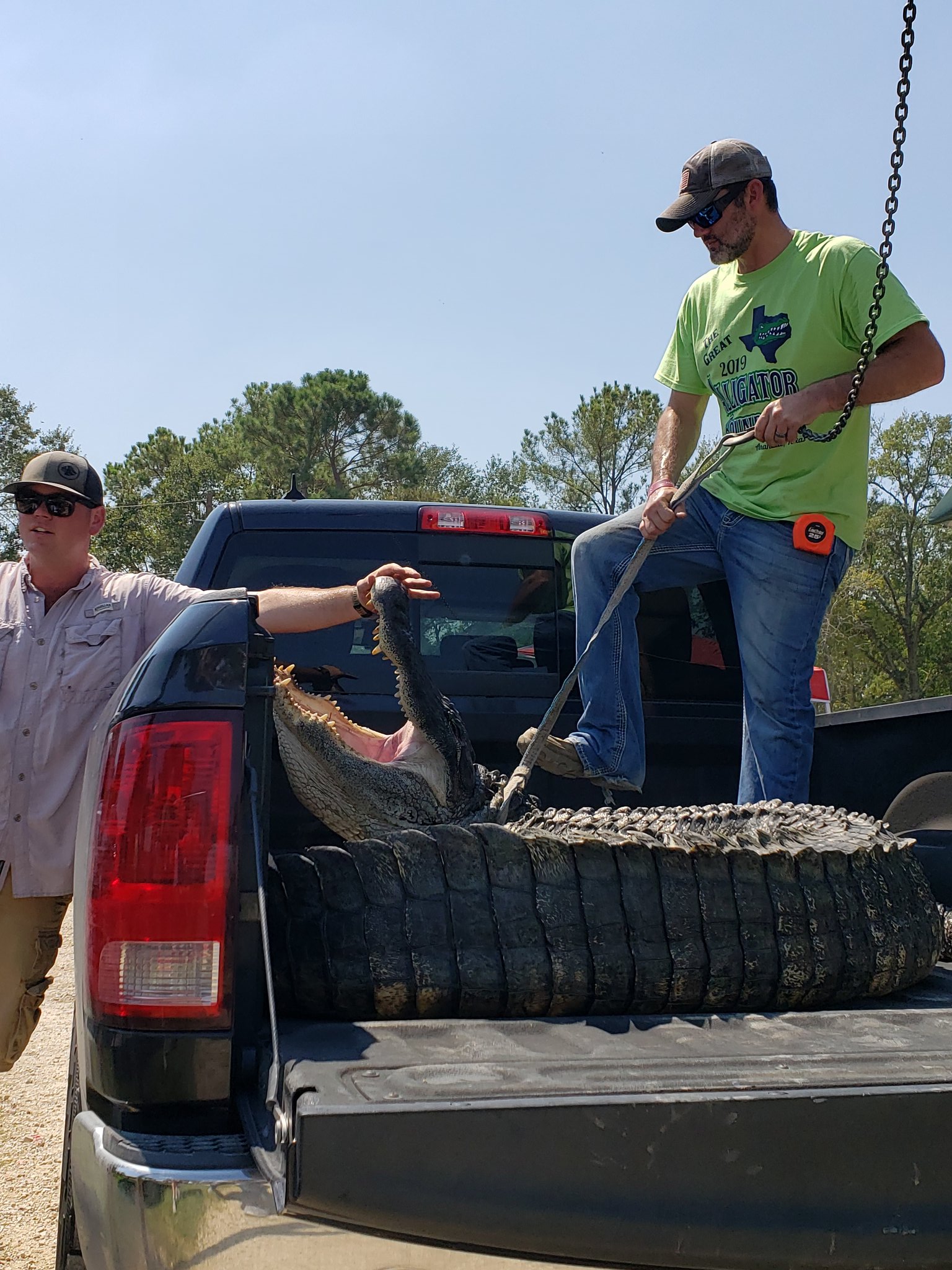 Texas GATORFEST (TxGATORFEST) / Twitter