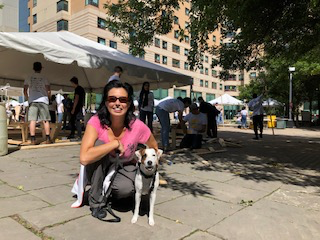 Space_Bandit's tweet photo. Taking my @space_bandit for a walk on @RyersonU, saw  #Timberfever, a competition for #architecture  and #CivilEngineering students. Good luck to you - #space is a great place to apply your talent! Kudos to the #industry and #organizations that support these #competitions! https://t.co/XUAnAP0Dyl