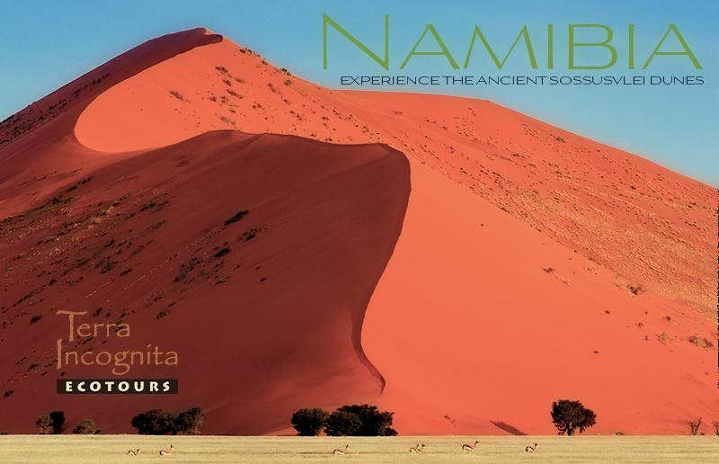 ecotours's tweet photo. NAMIBIA https://t.co/1oj1SWAFM8 https://t.co/8N9pRGyN1Q