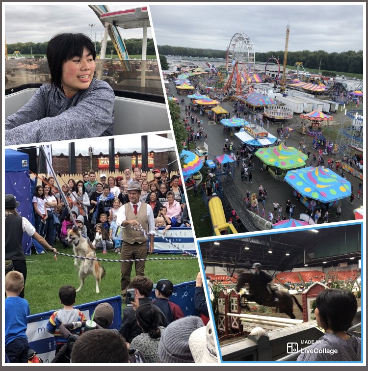 L4Laugh's tweet photo. The start of 2019 Big E in West Springfield, MA @TheBigEFair Amazing animal shows plus foods and rides or vomiting food after The Ride - Wait for the 4pm  Parade and concerts af 7pm Lucky me! https://t.co/H5hvHWuA7h