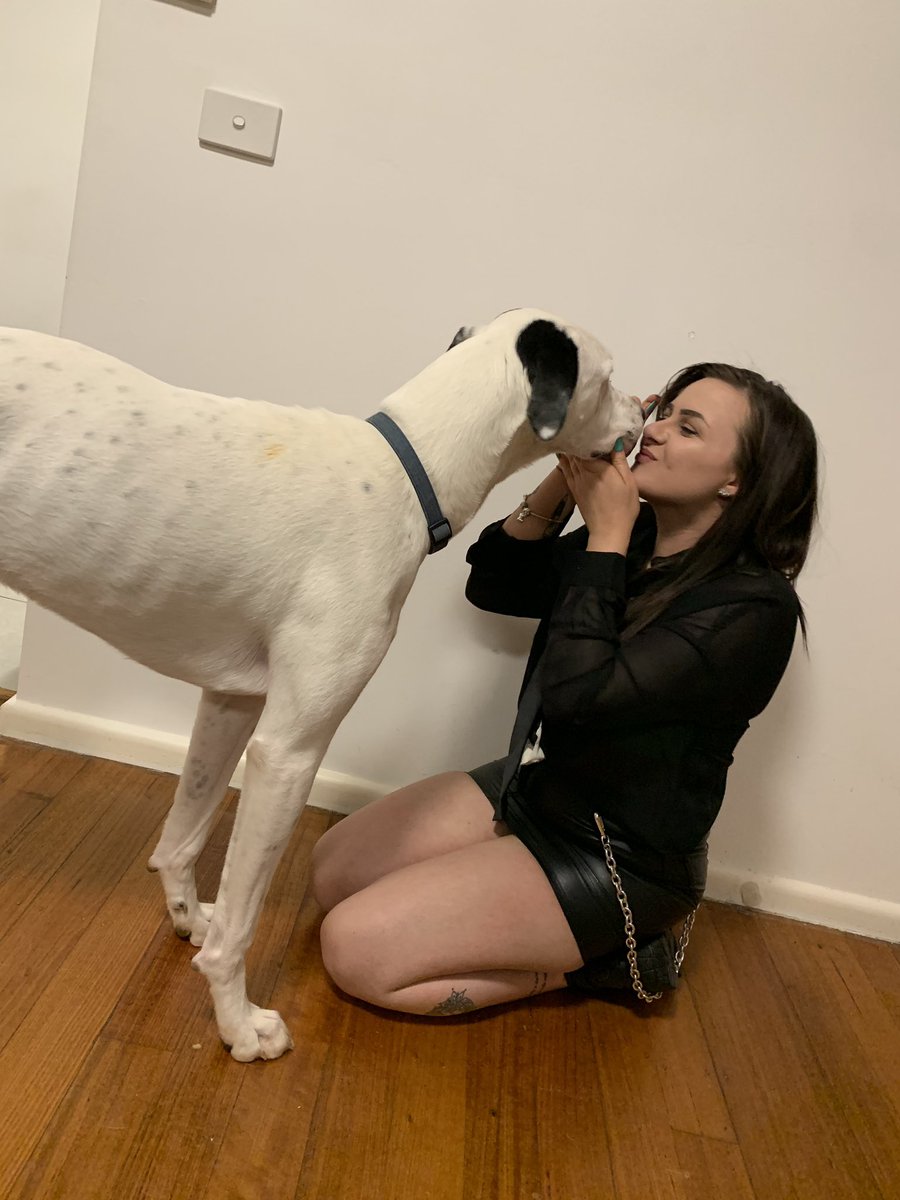 Di__maree's tweet image. My baby had surgery on Friday and the vet fees are gonna send me over the edge of broke 🥺 help us be able to make sure it’s paid off gf.me/ftp2 #Gofundme